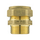 IBC 2” S60X6 Cap with BSP Female Lever Valve and Brass Compression Straight ¾” BSP – 22mm