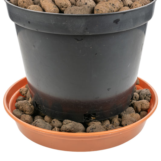 X0024GJRYV,  MYPURECORE Clay Pebbles for Plant Pots & Hydroponics, Grade 8-16mm - 1L, CP01L